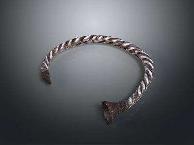 Daily Life Accessory Twisted Pattern Bracelet With Brown And White Design 3d model
