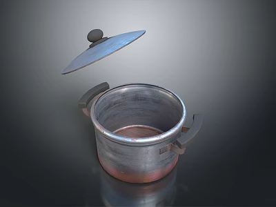 Metal Cooking Pot With Lid And Two Handles For Home Kitchen Use 3d model