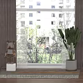 Soft Brown Curtains Framing Window with Natural Light Outdoor Tree View and Indoor Plant Sculpture