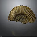 Ancient Ammonite Fossil With Spiral Shell And Detailed Texture From Marine Animal