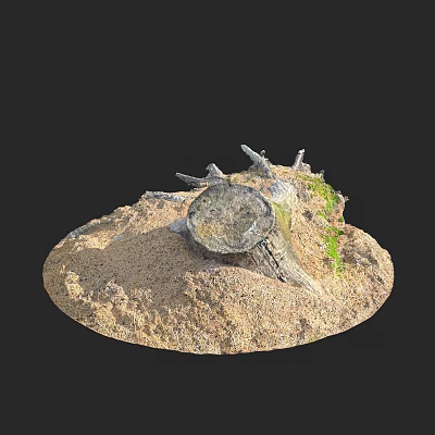 trunk wood dead wood dead tree stump 3d model trunk wood dead wood dead tree stump 3d model