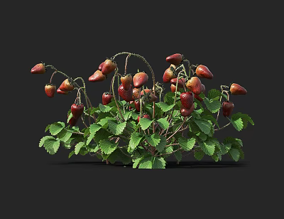 Modern Strawberry 3d model Modern Strawberry 3d model