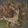 Decaying Old Tree Stump With Natural Texture Surrounded By Fallen Leaves And Grass 3d model