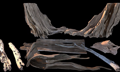 branches trees dead wood rotten wood 3d model