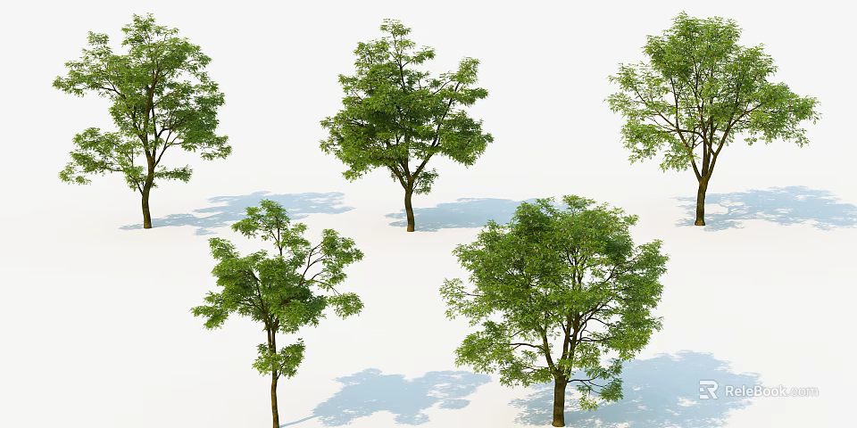 Green Leafy Trees With Various Shapes And Shadows On White Surface 3d model 