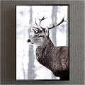 Animal Painting Of Deer With Large Antlers In Snowy Forest Setting