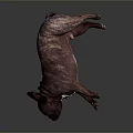 Brown And White Dog Lying On Its Side Against Dark Background