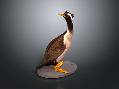 Brown And White Bird Specimen With Yellow Beak Yellow Feet On Circular Base 3d model
