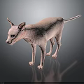 Sphynx Cat With Hairless Pink Skin And Blue Eyes Standing On Smooth Surface