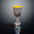Shiny Silver Trophy With Golden Interior And Decorative Base On Reflective Black Surface 3d model