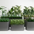 Green Leafy Potted Plants in Gray Containers for Modern Interior Decor 3d model
