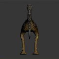 Realistic Dinosaur 3D Model With Detailed Skin Sharp Teeth And Long Tail Standing Pose
