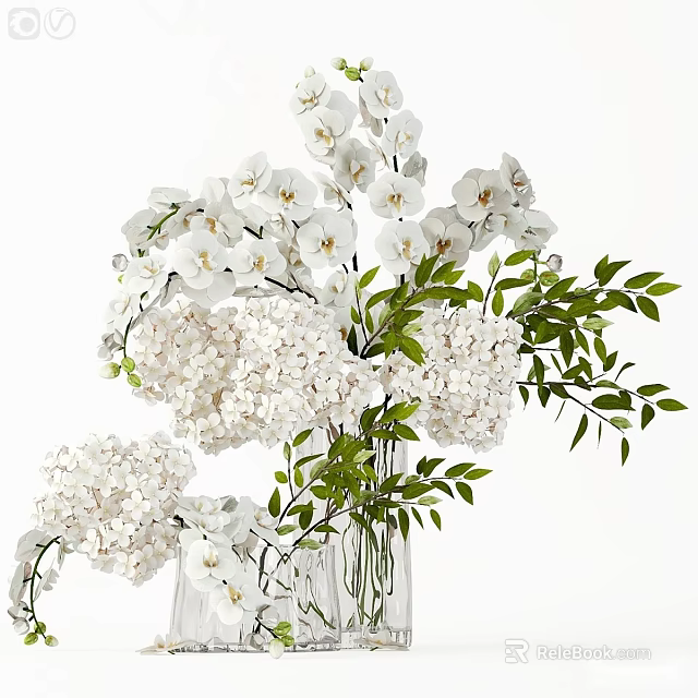 White Orchids and Hydrangeas in Clear Vase with Green Leaves on White Background 3d model 