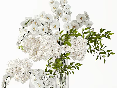 White Orchids and Hydrangeas in Clear Vase with Green Leaves on White Background 3d model