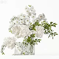 White Orchids and Hydrangeas in Clear Vase with Green Leaves on White Background