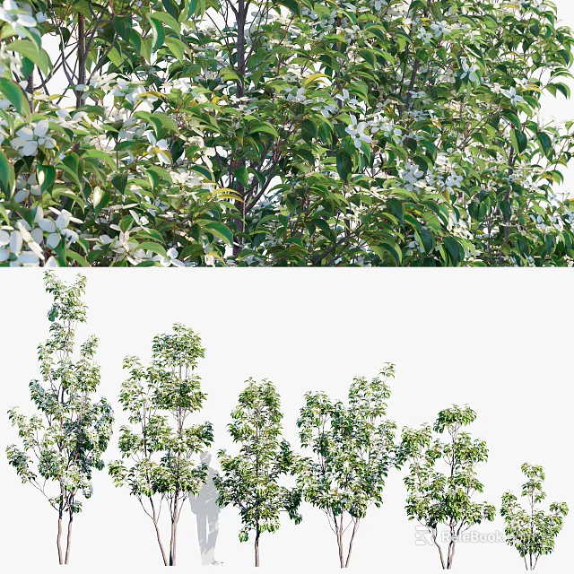 Lush Arbor with Green Leaves and White Flowers Enhancing Garden Landscape Design 3d model 