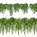 Lush Hanging Basket Plants With Green Vines And Decorative Leaves For Home Decor