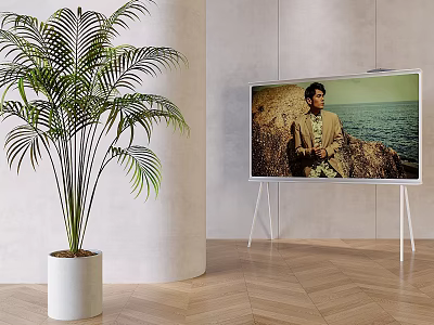 Flat Screen TV in Modern Living Room With Potted Palm Plant 3d model