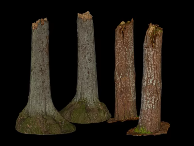 Natural Wood Tree Stumps With Stone Like Texture And Mossy Bases 3d model
