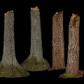 Natural Wood Tree Stumps With Stone Like Texture And Mossy Bases