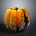 Colorful Striped Spotted Pumpkin With Yellow Orange Black Green Hues On Black Background With Reflection