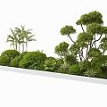 Outdoor Flower Bed And Planter With Green Trees Shrubs And Palm Plants In Stone Border