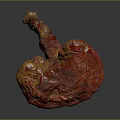 Fresh Red Vegetable Ganoderma Mushroom with Unique Shape and Glossy Surface 3d model