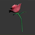 Beautiful Pink Paper Rose with Green Stem and Leaves on Gray Background