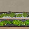 Indoor Bonsai Plants Decorative Arrangement With Green Moss And Stones