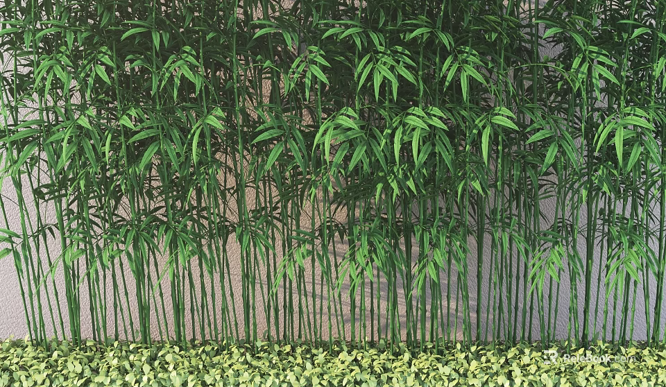 Lush Green Bamboo Plants With Dense Foliage In Natural Outdoor Background 3d model 