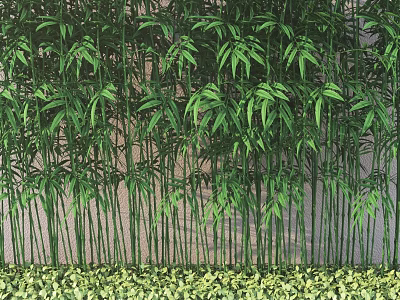 Lush Green Bamboo Plants With Dense Foliage In Natural Outdoor Background 3d model