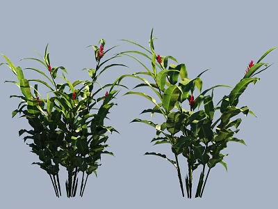 Vibrant Green Leafy Shrubs With Red Flowers And Lush Healthy Foliage 3d model