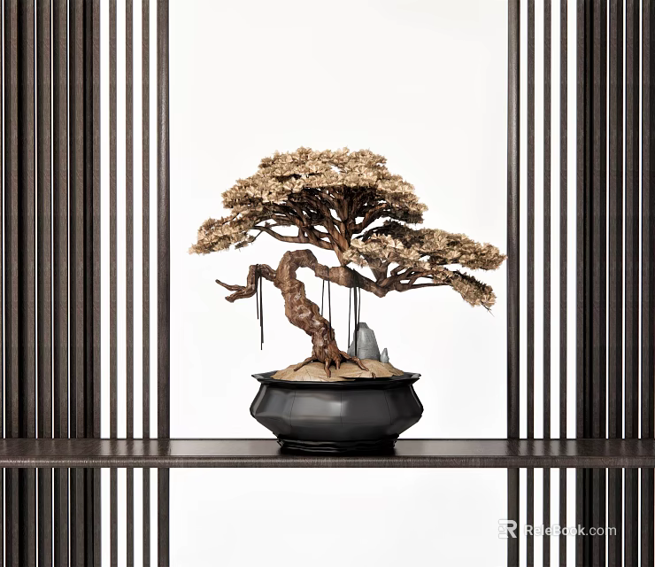 Bonsai Tree With Twisted Trunk And Curved Branches In Black Pot On Wooden Shelf With Vertical Slats 3d model 