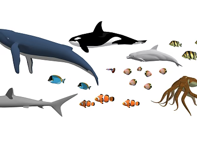 Diverse Aquatic Animals Including Blue Whale Orca Dolphin Shark Clownfish Octopus And Small Colorful Fish 3d model