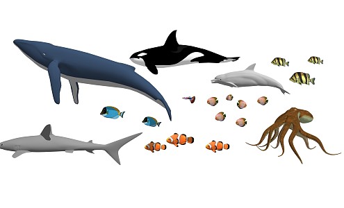 modern fish marine life aquatic animal whale 3d model