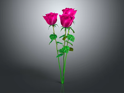 Vibrant Pink Roses With Green Stems And Leaves On Gray Background 3d model