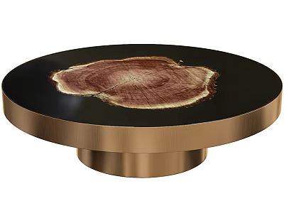 Round Coffee Table With Black Tabletop Tree Stump Cross Section And Gold Metal Base 3d model