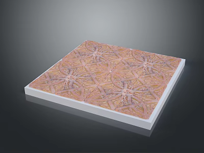 Square Decorative Tile With Intricate Pink Yellow Beige Pattern And White Border 3d model