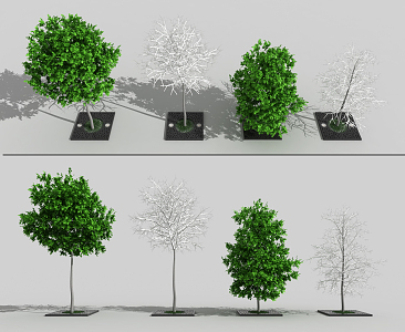 The Modern Tree 3d model