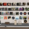 Vinyl Records Collection Display On Wall Shelves With Radio And Decorative Statue