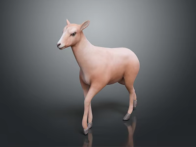 Light pink sheep standing on dark background with smooth fur and realistic posture 3d model