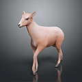 Light pink sheep standing on dark background with smooth fur and realistic posture