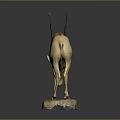 Light Brown Antelope Taxidermy Mounted Figure On Natural Stone Base