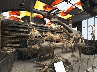 Dinosaur Fossils in Natural Science Museum model