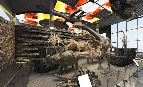 Dinosaur Fossils in Natural Science Museum 3d model