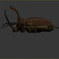 3D Rendered Brown Beetle With Long Horn And Detailed Legs On Gray Background