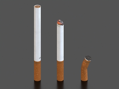 Cigarette butts 3d model