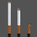 Cigarette butts 3d model