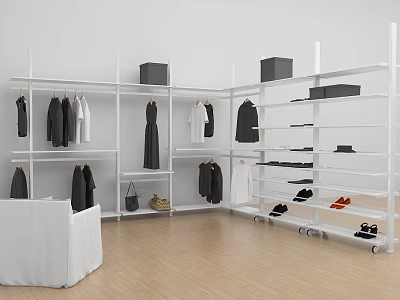 White Clothes Hangers in Modern Cloakroom with Hanging Clothes Storage Shelves and Shoes 3d model