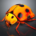 Orange Black Spotted Ladybug Detailed Close Up View With Shiny Exoskeleton